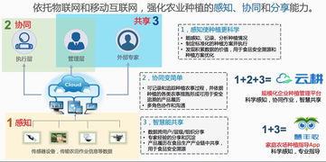 规模化农场种植管理平台